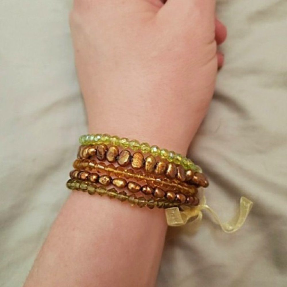 5 Piece Earth Toned Stretchy Bracelet Set